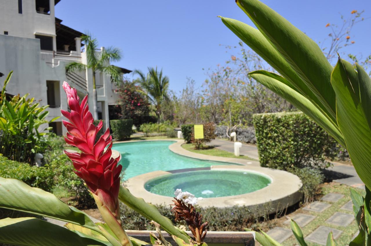 Tropical Gardens Suites And Apartments Coco Exterior foto